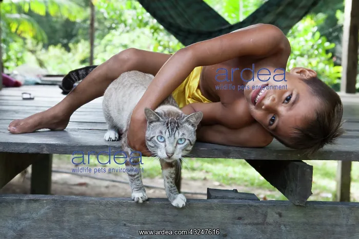 : Boy playing with a cat - Amapa Brazil Amazon : Boy playing with a cat - Amapa Brazil Amazon