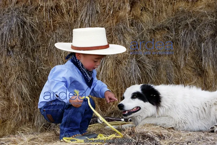 : Boy playing at being a cowboy with Border Collie : Boy playing at being a cowboy with Border Collie
