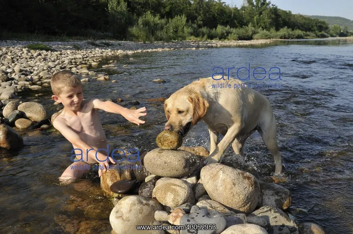 : Boy playing with his dog in Eyrieux River Ardeche France : Boy playing with his dog in Eyrieux River Ardeche France