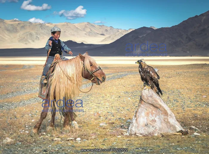 : A boy trains his young eagle for hunting. After : A boy trains his young eagle for hunting. After