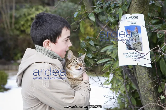 : Boy who found a lost cat France : Boy who found a lost cat France