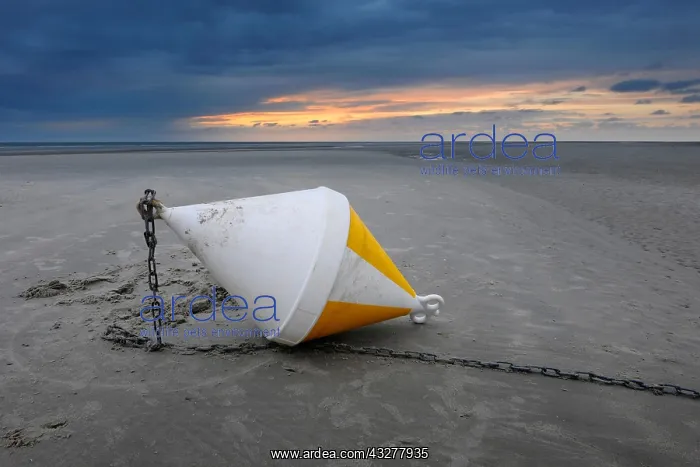 : Boye at the beach, low tide, evening mood, Schleswig-Holstei : Boye at the beach, low tide, evening mood, Schleswig-Holstei