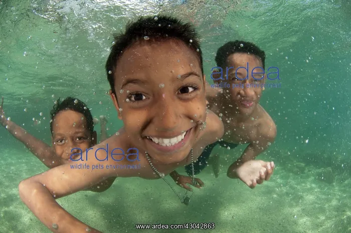 : Boys playing underwater in shallow water : Boys playing underwater in shallow water