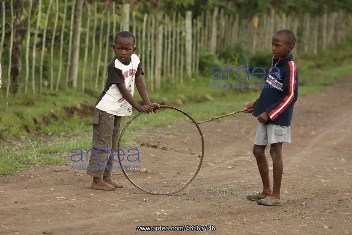 : boys playing with wheel, near Eldoret, Kenya, Kalenjin : boys playing with wheel, near Eldoret, Kenya, Kalenjin