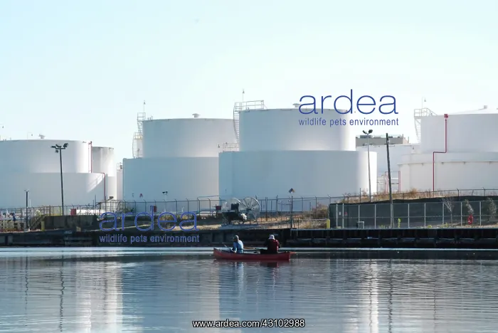 : BP Facility and Canoe, Newtown Creek, NYC : BP Facility and Canoe, Newtown Creek, NYC