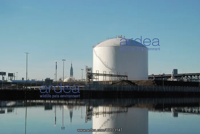 : BP Fuel Storage Along Newtown Creek, NYC : BP Fuel Storage Along Newtown Creek, NYC