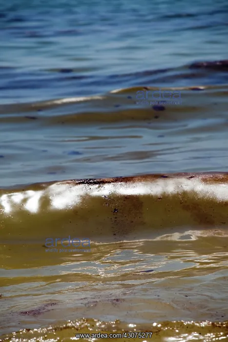 : BP Oil Slick reaches Alabama : BP Oil Slick reaches Alabama