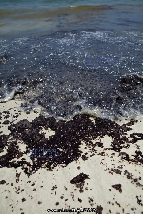 : BP Oil Slick reaches Alabama : BP Oil Slick reaches Alabama