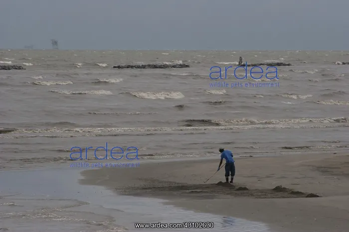 : BP Oil Spill Cleanup : BP Oil Spill Cleanup