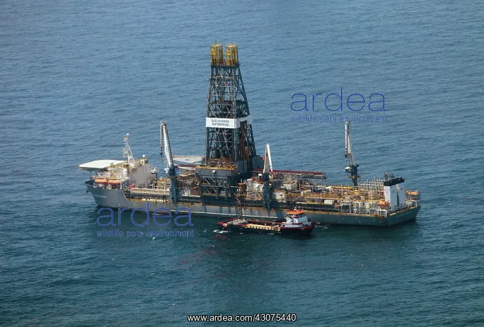 : BP Oil Spill Site : BP Oil Spill Site