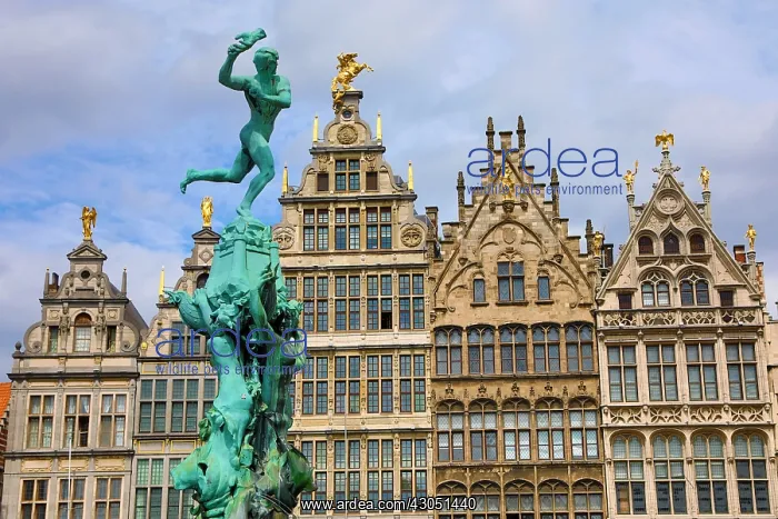 : The Brabo Fountain in the Grote Markt in Antwerp, Belgium : The Brabo Fountain in the Grote Markt in Antwerp, Belgium