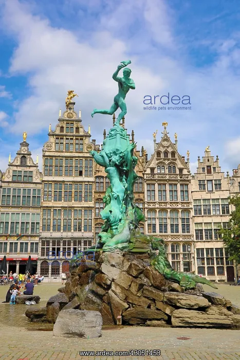 : The Brabo Fountain in the Grote Markt in Antwerp, Belgium : The Brabo Fountain in the Grote Markt in Antwerp, Belgium