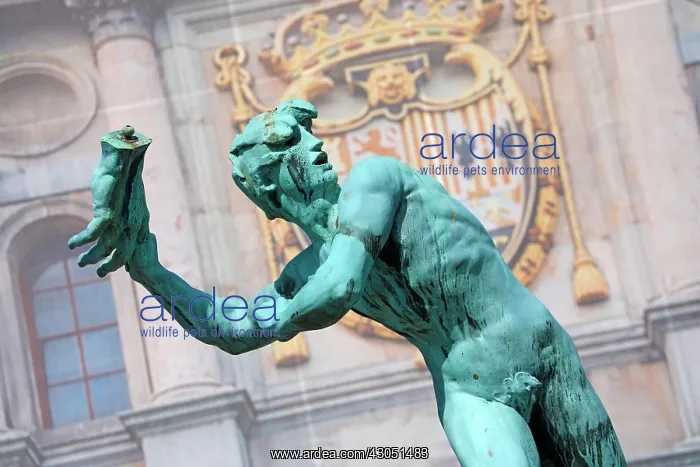 : The Brabo Fountain in the Grote Markt in Antwerp, Belgium : The Brabo Fountain in the Grote Markt in Antwerp, Belgium