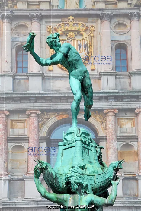 : The Brabo Fountain in the Grote Markt in Antwerp, Belgium : The Brabo Fountain in the Grote Markt in Antwerp, Belgium