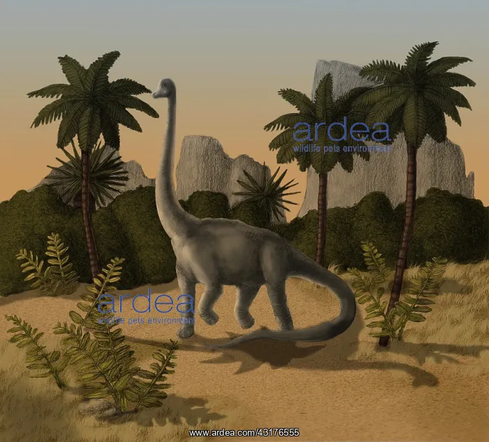 : Brachiosaurus : Brachiosaurus