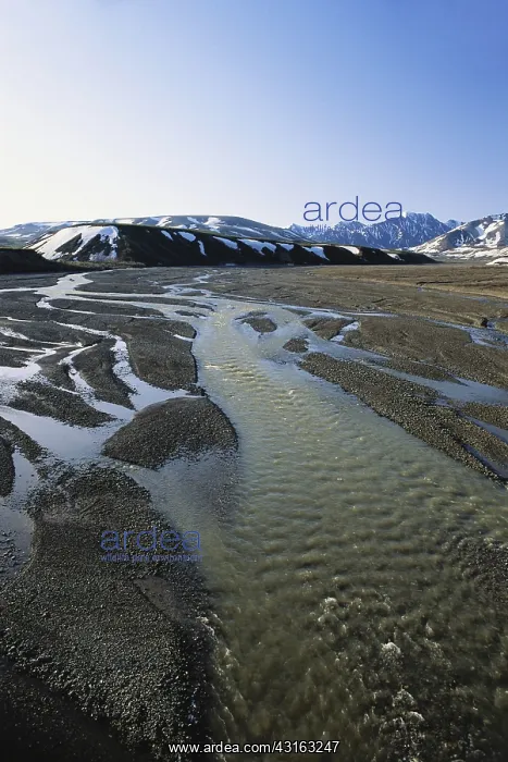 : Braided River in Alaska : Braided River in Alaska