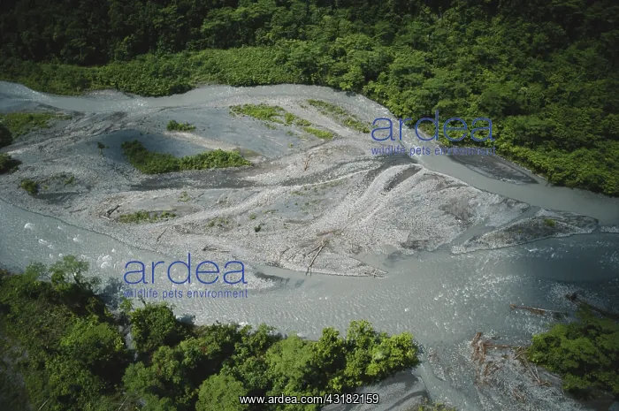 : Braided River in Indonesia : Braided River in Indonesia