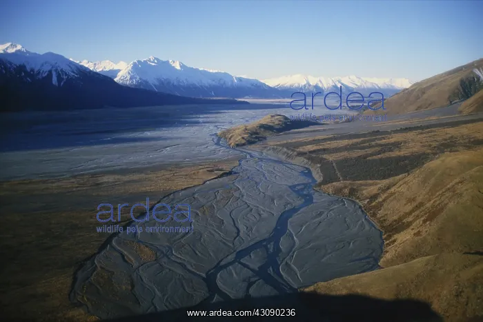 : Braided River in New Zealand : Braided River in New Zealand