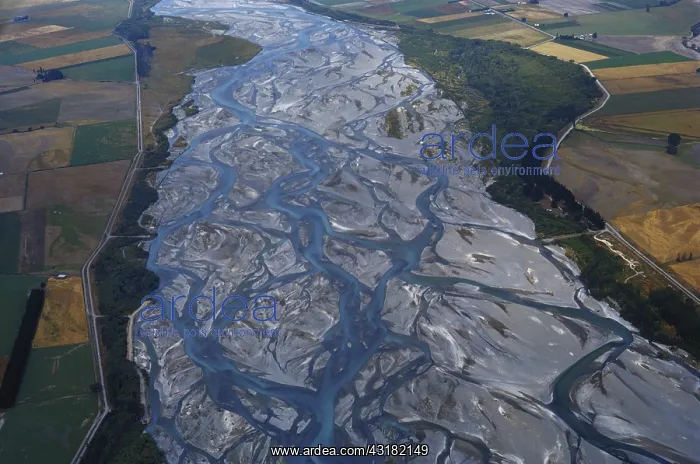 : Braided River in New Zealand : Braided River in New Zealand