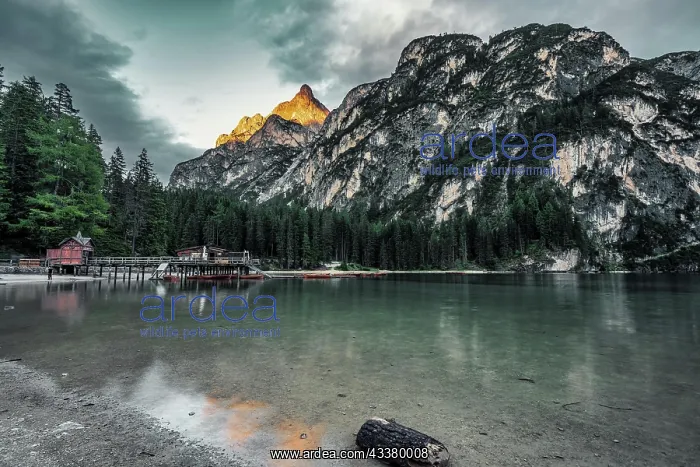 : Braies lake, the largest natural Dolomite lake : Braies lake, the largest natural Dolomite lake