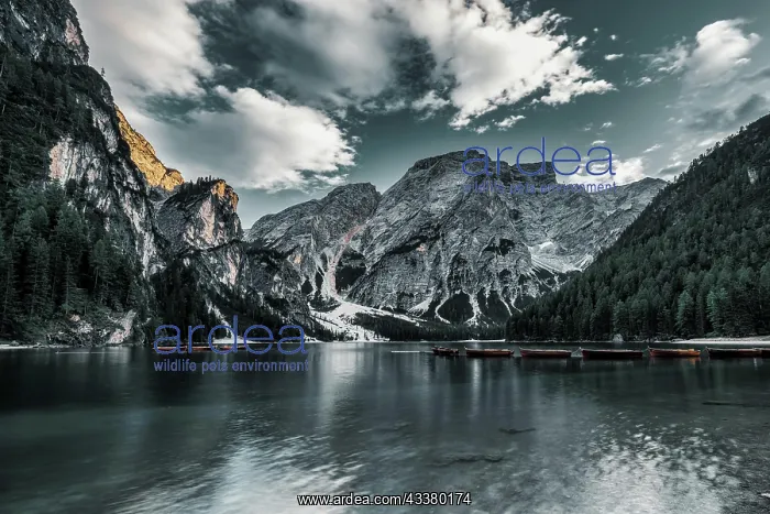 : Braies lake, the largest natural Dolomite lake : Braies lake, the largest natural Dolomite lake