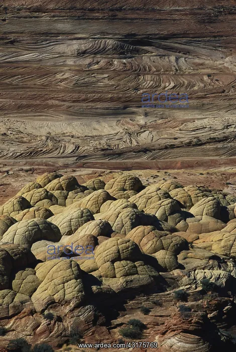 : Brain Rocks in Utah : Brain Rocks in Utah