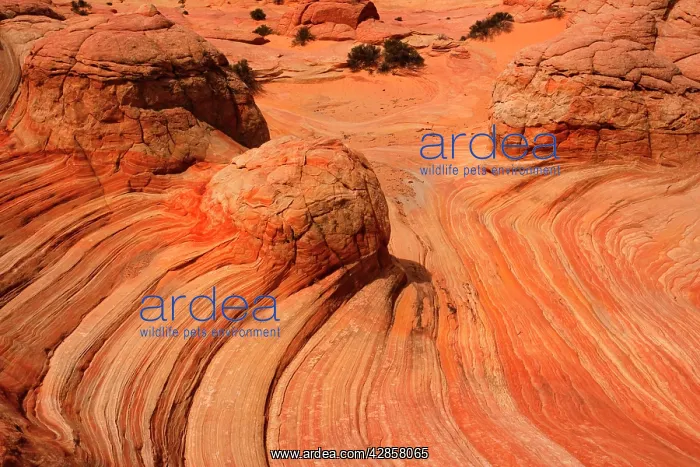 : Brainrocks - carved rock made of jurrasic-age Navajo : Brainrocks - carved rock made of jurrasic-age Navajo
