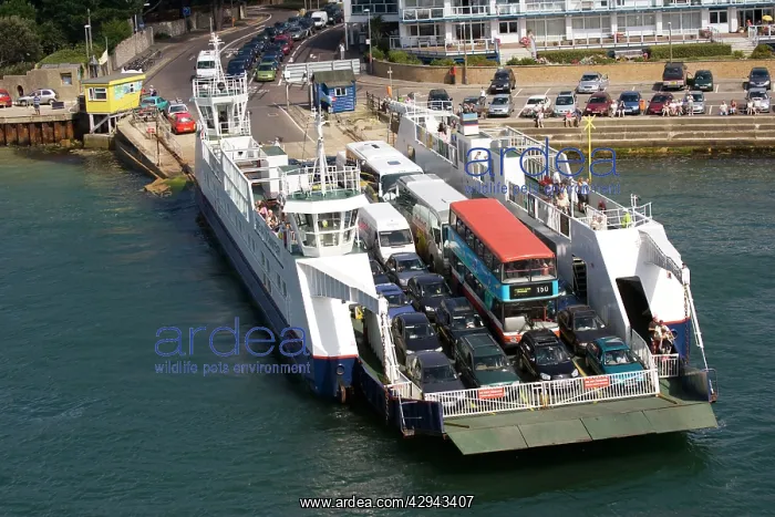  : Bramble Bush Bay chain car ferry crossing to Sandbanks