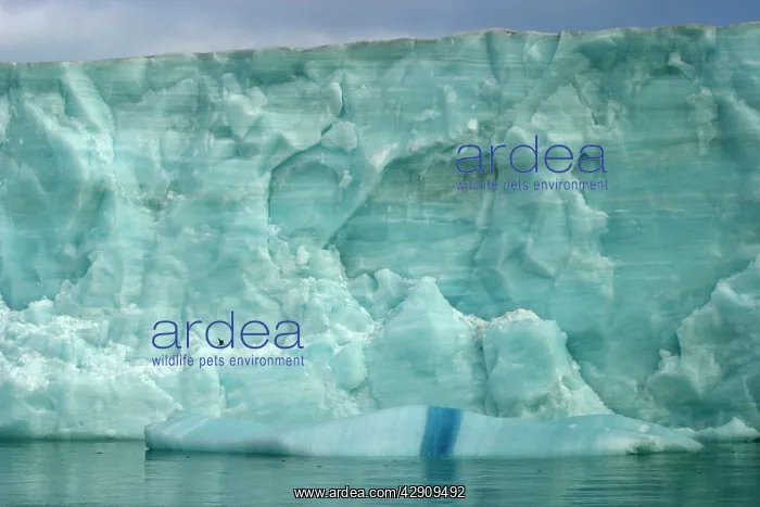 : Brasvell Glacier : Brasvell Glacier
