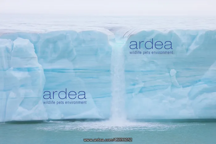 : Brasvellbreen : Brasvellbreen