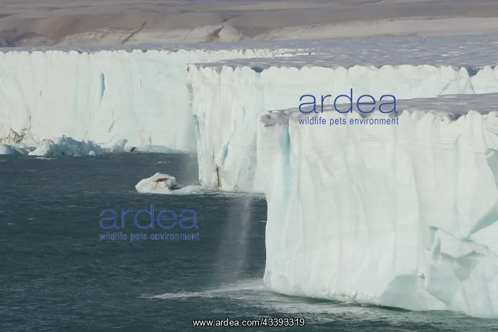 : Brasvellbreen : Brasvellbreen