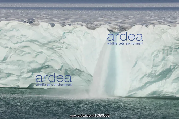  : Brasvellbreen