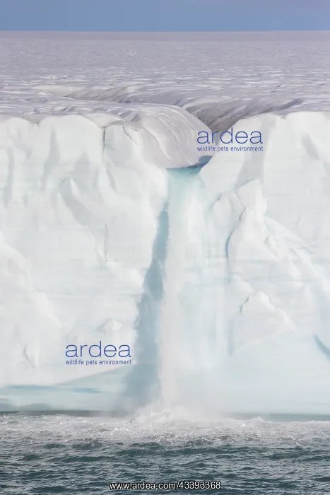 : Brasvellbreen : Brasvellbreen