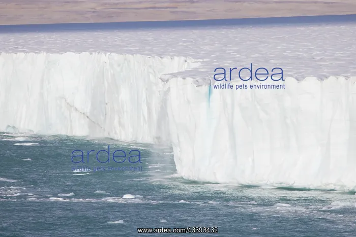 : Brasvellbreen : Brasvellbreen