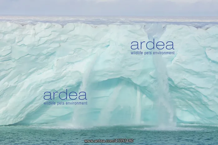: Brasvellbreen : Brasvellbreen