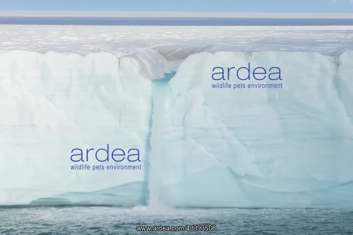 : Brasvellbreen : Brasvellbreen