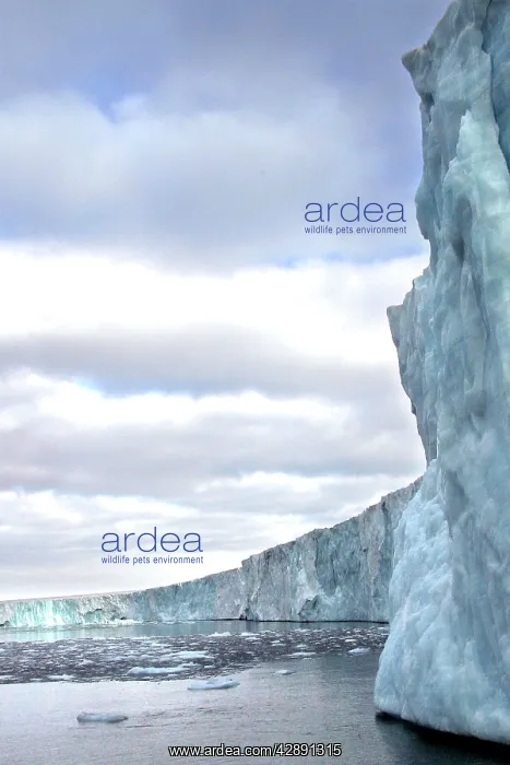 : Brasvells Glacier. 200 km long : Brasvells Glacier. 200 km long