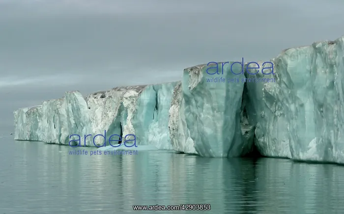 : Brasvell's Glacier - 200 km long : Brasvell's Glacier - 200 km long