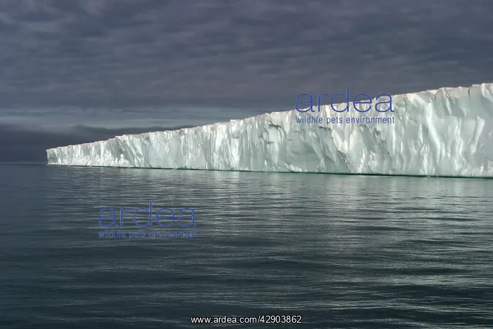 : Brasvell's Glacier - 200 km long : Brasvell's Glacier - 200 km long