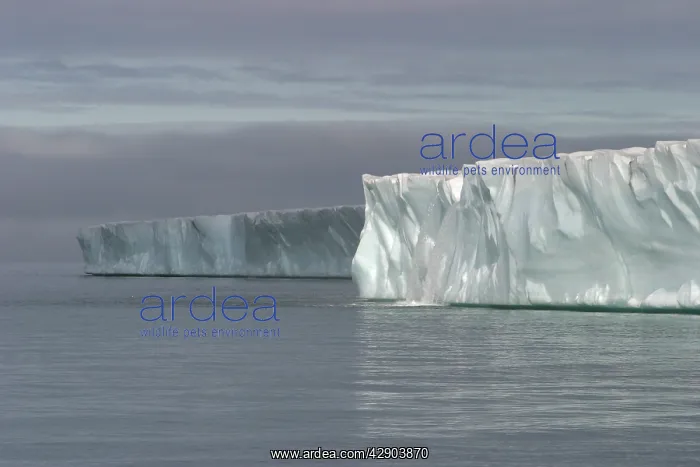 : Brasvell's Glacier - 200 km long : Brasvell's Glacier - 200 km long