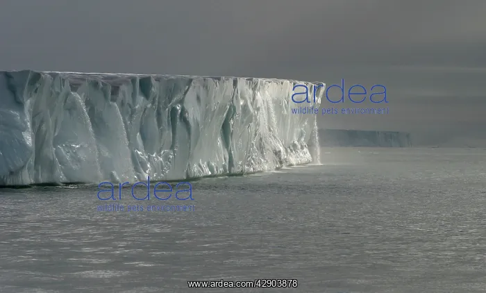 : Brasvell's Glacier - 200 km long : Brasvell's Glacier - 200 km long