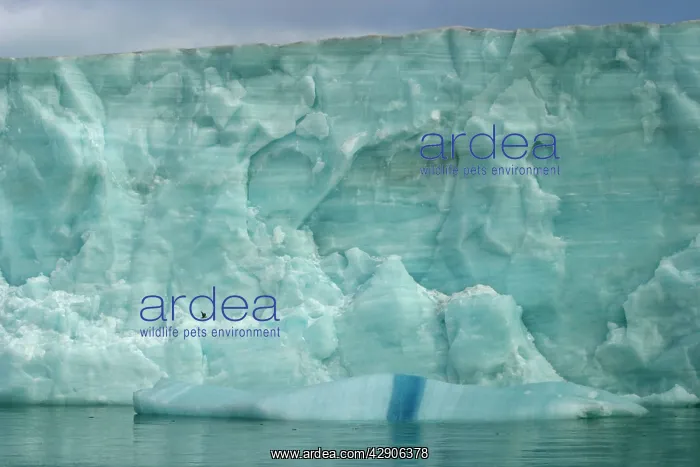 : Brasvell's Glacier - 200 km long : Brasvell's Glacier - 200 km long
