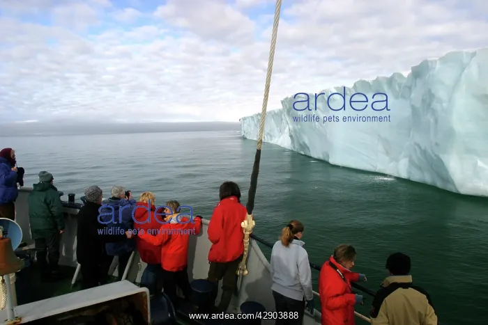 : Brasvell's Glacier - 200 km long. Tourists on boat : Brasvell's Glacier - 200 km long. Tourists on boat