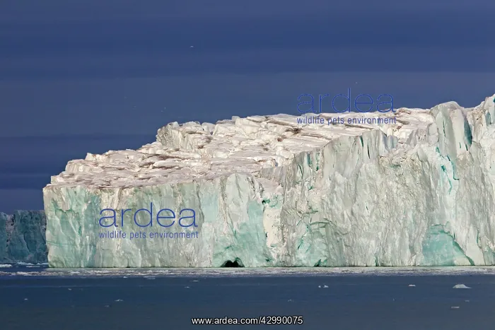 : Brasvell's Glacier : Brasvell's Glacier