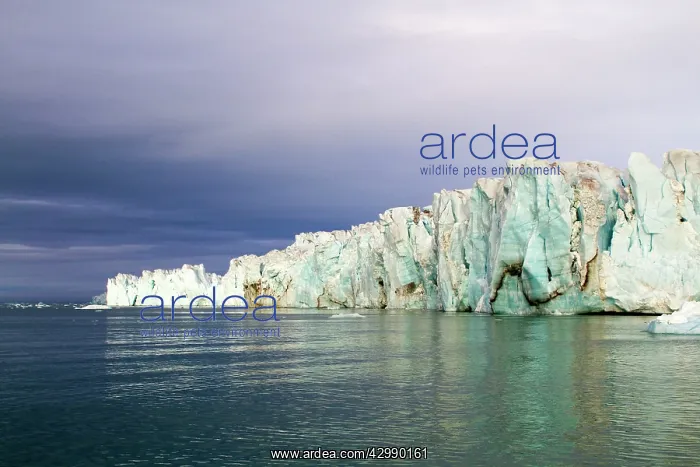 : Brasvell's Glacier : Brasvell's Glacier