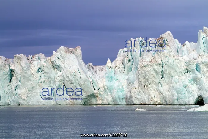 : Brasvell's Glacier : Brasvell's Glacier