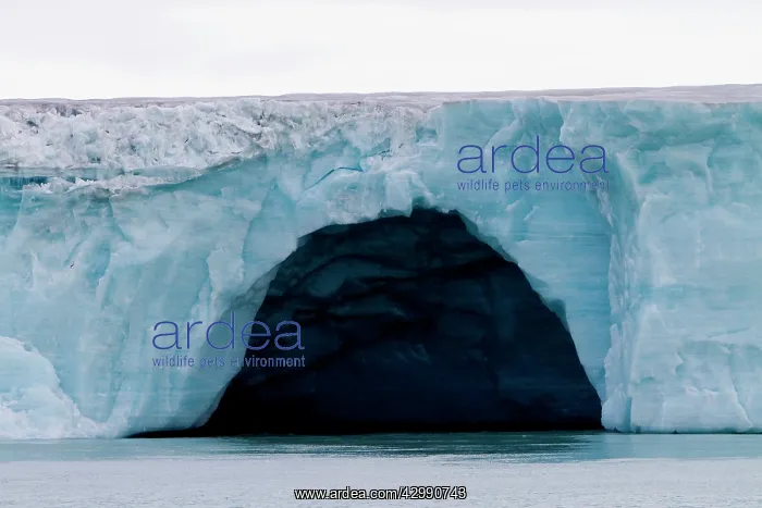 : Brasvell's Glacier : Brasvell's Glacier