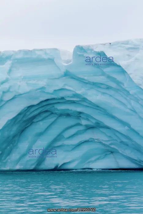 : Brasvell's Glacier : Brasvell's Glacier