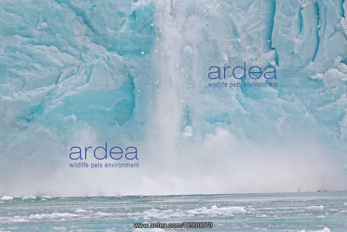 : Brasvell's Glacier - melting : Brasvell's Glacier - melting