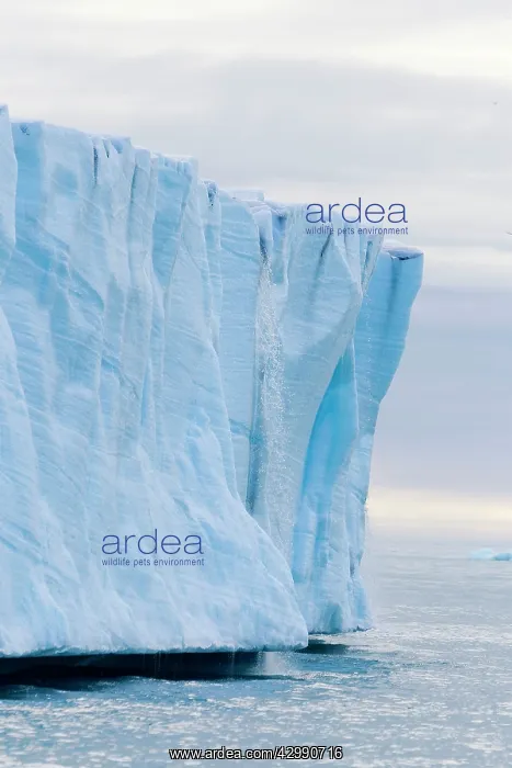 : Brasvell's Glacier - melting : Brasvell's Glacier - melting